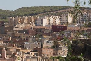 Oranie 2017-509